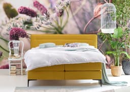 Boxspring Cinderella Vlak - 5