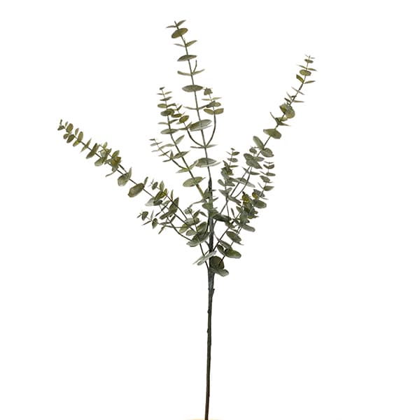 Eucalyptus kunsttak